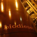biodiesel, brandstof, milieu