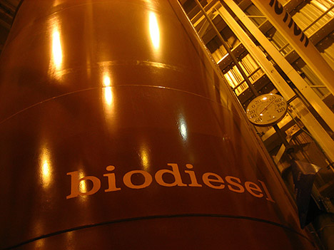 biodiesel, brandstof, milieu